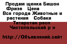 Продам щенка Бишон Фризе › Цена ­ 30 000 - Все города Животные и растения » Собаки   . Татарстан респ.,Чистопольский р-н